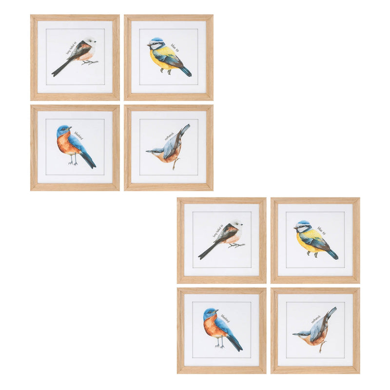 Melrose Framed Bird Print Under Glass Wall Decor, Wood