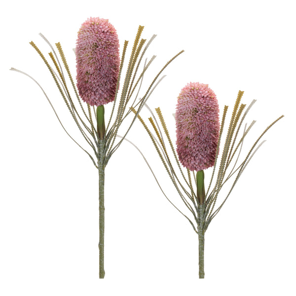 Melrose Protea Floral Stem (Set of 2)