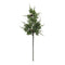 Melrose Pine and Pinecones Spray (Set of 6)