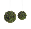 Melrose Boxwood Sedum Orb (Set of 8)
