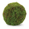 Melrose Faux Moss Orb (Set of 2)