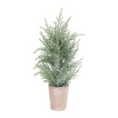 Melrose Frosted Holiday Pine Tree in Paper Pot (Set of 4)