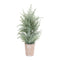 Melrose Frosted Holiday Pine Tree in Paper Pot (Set of 4)