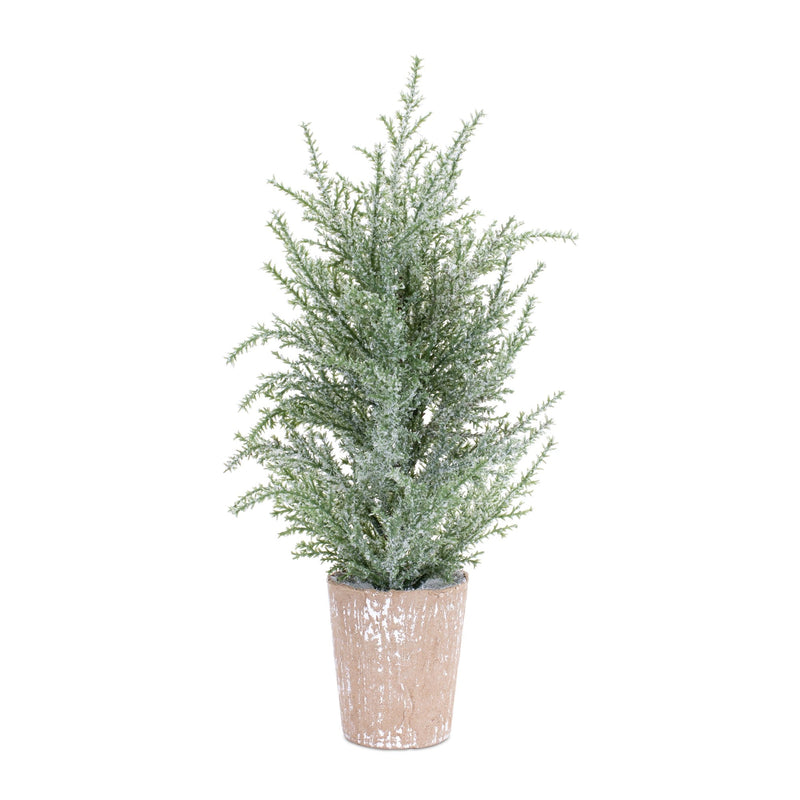 Melrose Frosted Holiday Pine Tree in Paper Pot (Set of 4)