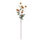 Melrose Thistle Pod Branch (Set of 6)