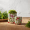 Melrose Foliage Half Orb (Set of 2)