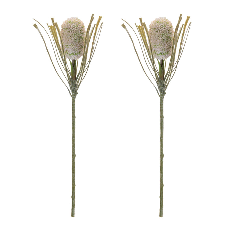 Melrose Protea Floral Stem (Set of 2)
