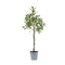 Melrose Olive Leaf Silk Tree with Tin Pot 31.5"H