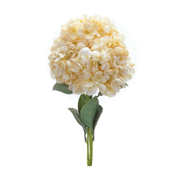 Melrose Hydrangea Bush (Set of 2)