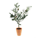 Melrose Potted Olive Tree Topiary 22"H