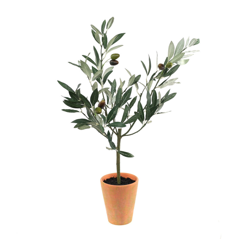 Melrose Potted Olive Tree Topiary 22"H