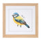 Melrose Framed Bird Print Under Glass Wall Decor, Wood