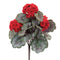 Melrose Geranium Floral Bush (Set of 2)