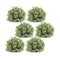 Melrose Spring Boxwood Foliage Half Orb (Set of 6)