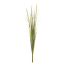 Melrose Foxtail Bush (Set of 6)