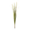 Melrose Foxtail Bush (Set of 6)