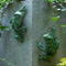 Melrose Stone Garden Frog Wall Accent (Set of 2)