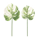 Melrose Light Varigated Philo Leaf Stem (Set of 12)