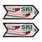 Melrose Metal Ski Lessons Sign (Set of 2)