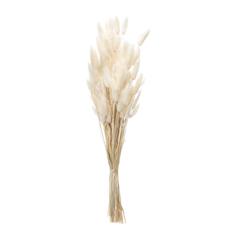 Melrose Bunny Tail Bundle (Set of 2)