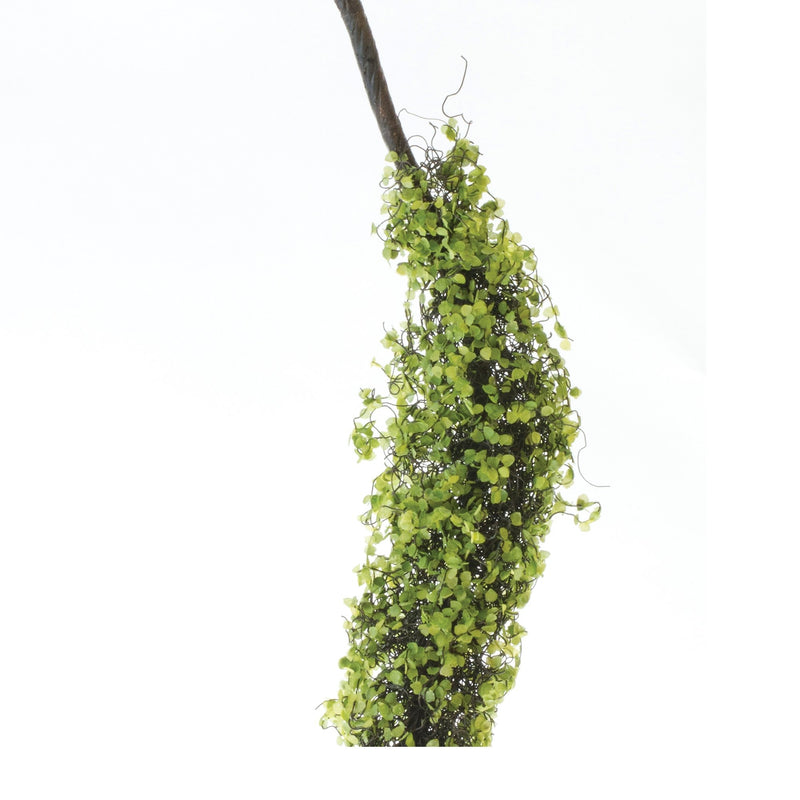 Melrose Moss Foliage Vine Branch (Set of 2)