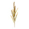 Melrose Seeded Harvest Spray (Set of 12)