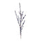 Melrose Ilex Blue Berry Spray (Set of 2)