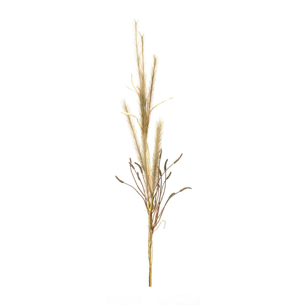 Melrose Foxtail Grass Spray (Set of 2)