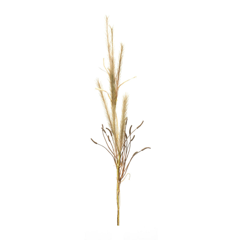 Melrose Foxtail Grass Spray (Set of 2)