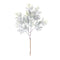 Melrose Flocked Cedar Branch (Set of 12)