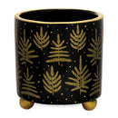 Melrose Footed Pine Tree Planter (Set of 2)