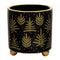 Melrose Footed Pine Tree Planter (Set of 2)