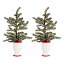 Melrose Mini Pine Tree with Ceramic Pot (Set of 2)