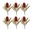 Melrose Burnt Orange Banksia Floral Stem (Set of 6)