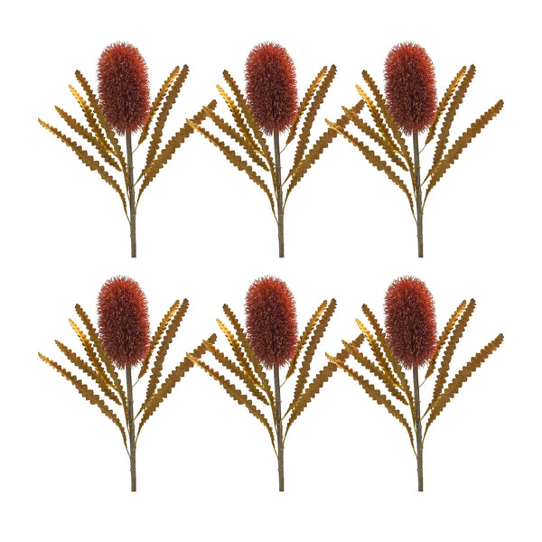 Melrose Burnt Orange Banksia Floral Stem (Set of 6)