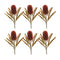 Melrose Burnt Orange Banksia Floral Stem (Set of 6)