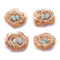 Melrose Twig Bird Nest with Eggs and Raffia (Set of 8)