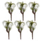 Melrose Air Plant Succulent Pick (Set of 6)