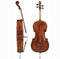 GEWA Walther 11 “Prag Antique” Concert Cello 4/4 – Designed by Marko Ackert