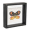 Melrose Framed Butterfly Block Wall Decor, Modern, Wood