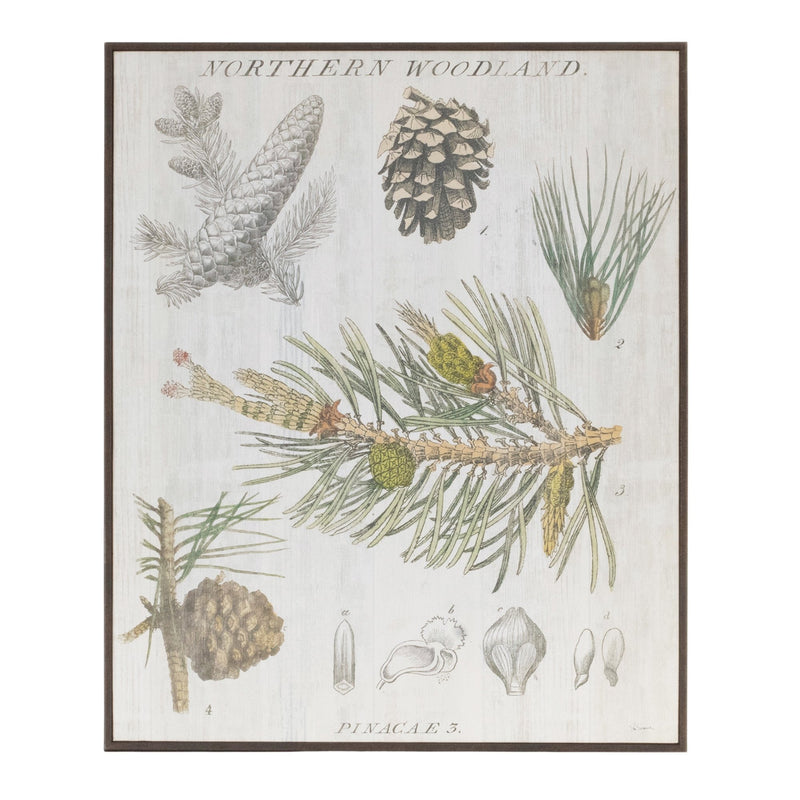 Melrose Framed Pine Encyclopedia Print 15.5"H