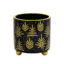 Melrose Footed Pine Tree Planter (Set of 2)