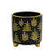 Melrose Footed Pine Tree Planter (Set of 2)