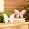 Melrose Resin Butterfly (Set of 4)