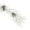 Melrose Flocked Long Needle Pine Garland 48"L