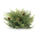 Melrose Cedar Pinecone Half Orb (Set of 2)