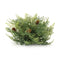 Melrose Cedar Pinecone Half Orb (Set of 2)