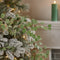 Melrose Frosted Silver Dollar Eucalyptus Spray (Set of 12)
