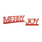 Melrose LED Joy and Merry Tabletop Sign (Set of 2)