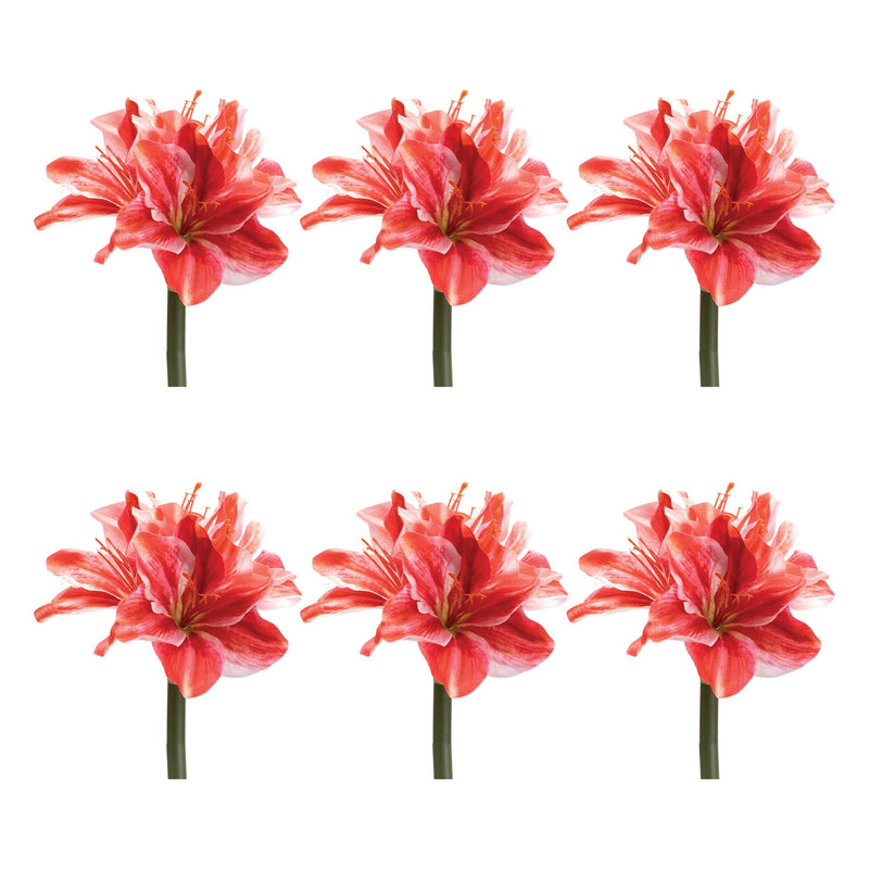 Melrose Amaryllis Flower Stem (Set of 6)